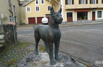 Le lynx
