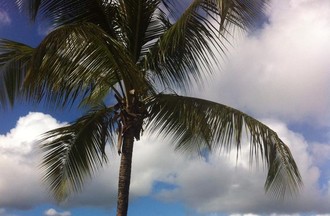 Photo de Dominique