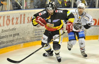 Josh Primeau