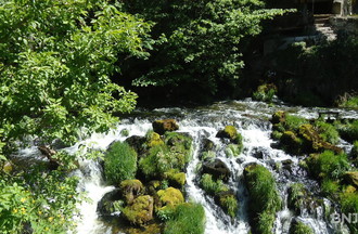 La source de la Noiraigue
