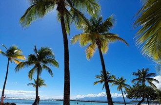 Photo de Genesis, plage de Barahona