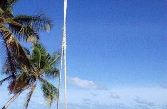 La photo gagnante du défi choisie par Genesis