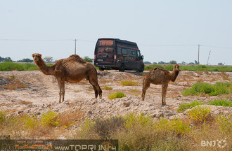 From Bushehr to Shiraz ... and much more on www.TOPRUN.ch
