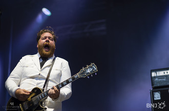 The Hives