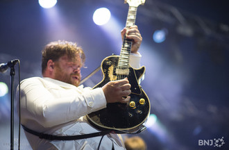 The Hives