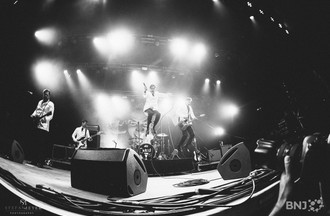 The Hives