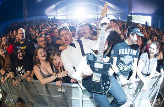 The Hives
