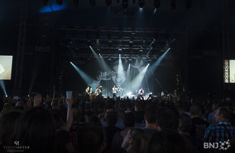 The Hives