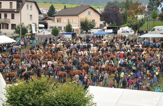 La Foire de Chaindon