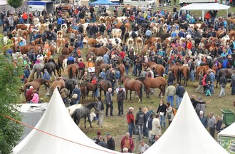 La Foire de Chaindon