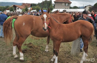 La Foire de Chaindon