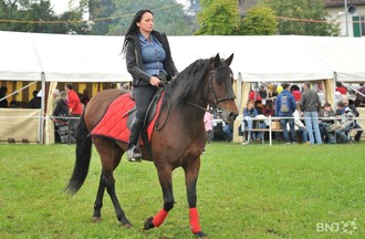 La Foire de Chaindon