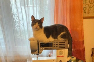 Photo du défi