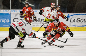 Joan Siegrist