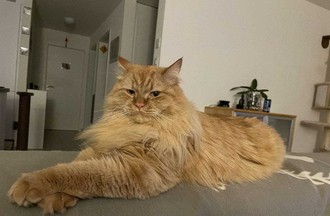 La photo gagnante du défi, choisie par Lionel