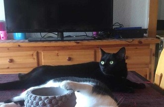 Photo du défi