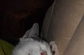 Photo du défi