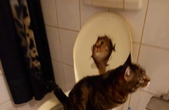 Photo du défi