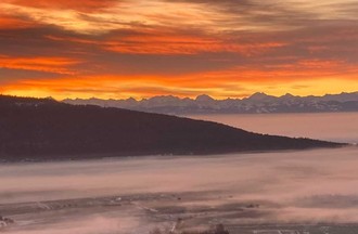 Thème du défi: le bonheur, la joie en photos