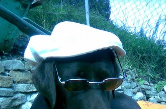 La photo gagnante du défi choisie par Baptiste