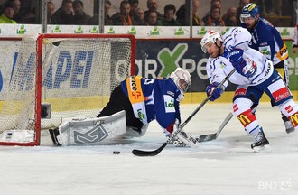 HCB-ZSC Lions