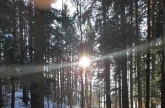 Photo du défi