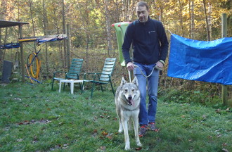 Skäl le chien loup Tchèque