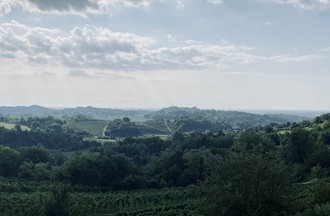 Odeur de la vigne, photo prise en Italie