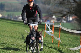Canicross Courroux