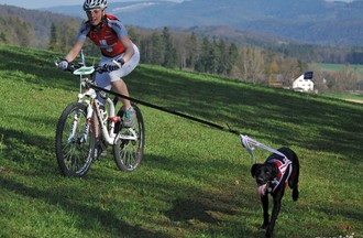Canicross Courroux