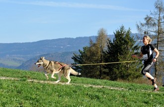 Canicross Courroux
