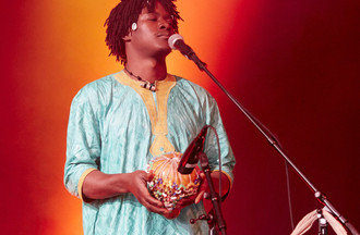 Bassekou Kouyaté & Ngomi Ba
