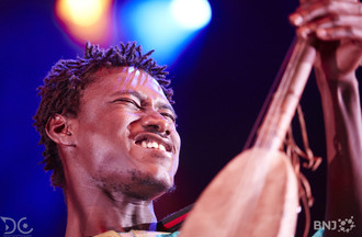 Bassekou Kouyaté & Ngomi Ba