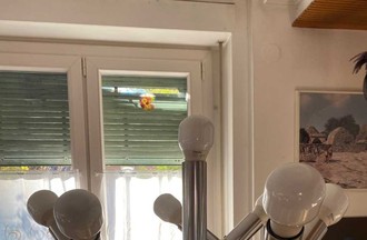 Photo du défi