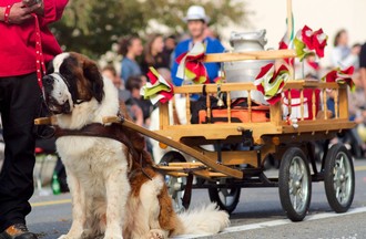Corso fleuri de la Fête des vendanges