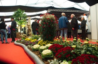 NewPort Expo 2015