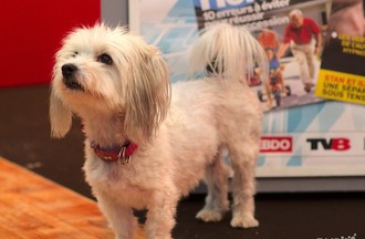 NewPort Expo 2015