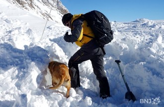Le conducteur et son chien