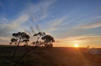 Les photos ont été prises par Cédric & Christine Vendé