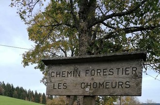 Photo du défi