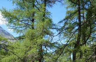 Photo du défi