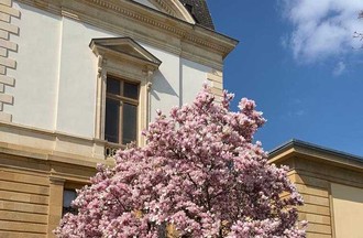 Photo du défi