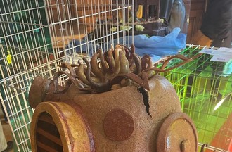 Photo du défi