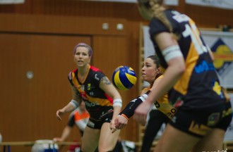 NUC-VFM