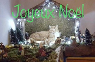 Photo du défi