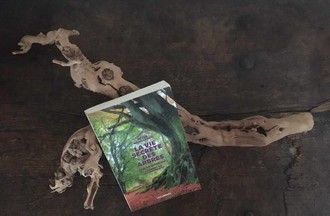 Photo du défi sur le thème, votre livre préféré ou de chevet