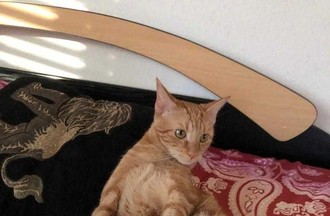 Photo du défi