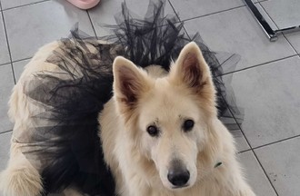 Photo du défi