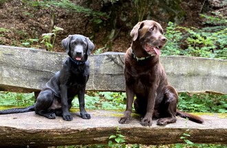 Ragnar & Léo