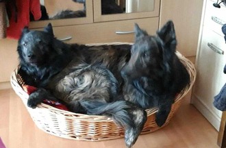 Photo du défi